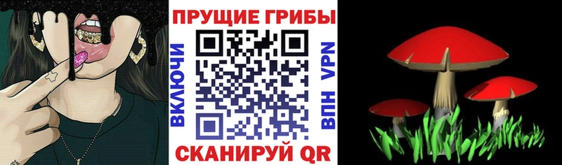 мега вход  Терек  Псилоцибиновые грибы Psilocybe  где купить наркоту 
